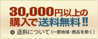 合計30,000円（税別）以上のご注文で送料無料！！（※一部の大物商品や沖縄県等の一部離島宛を除きます）